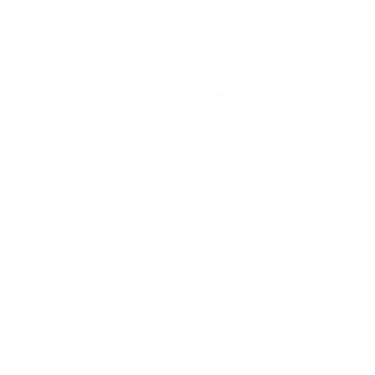 1stNet.AI no-corruption