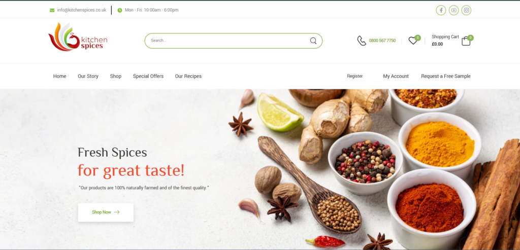 Website Design for Small Business