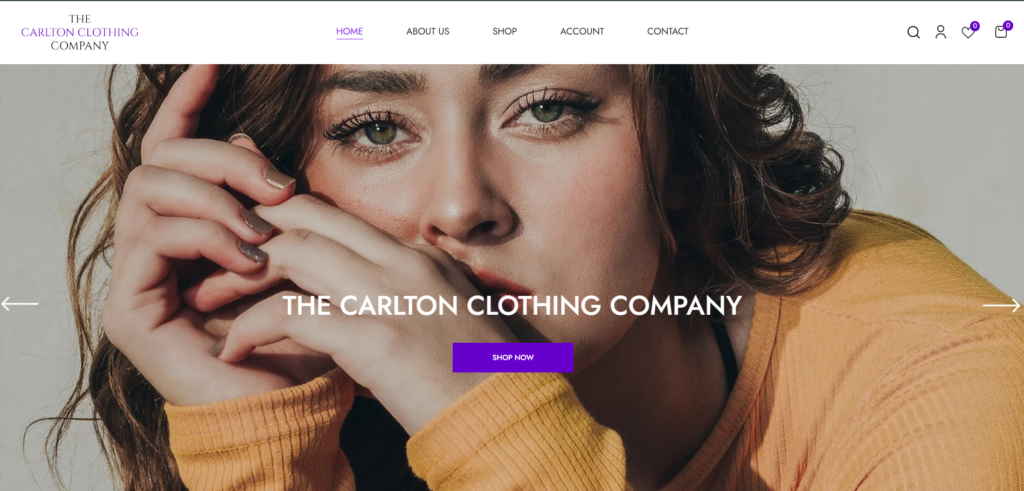 Website Design for Small Business