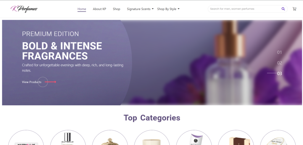 Website Design