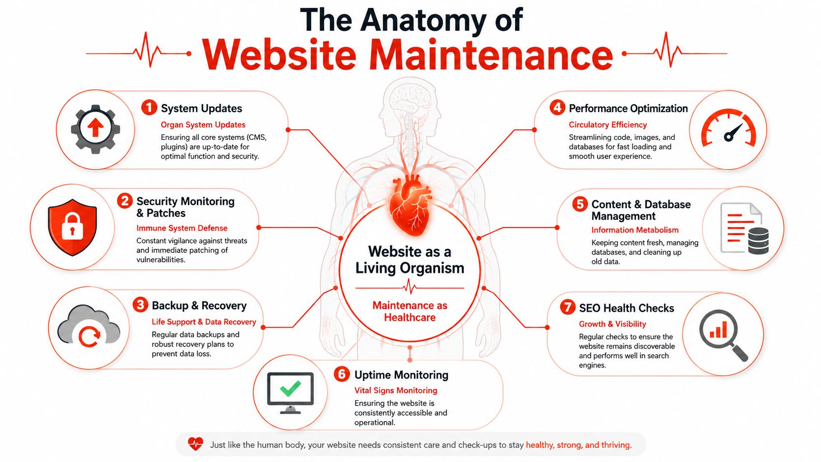 An infographic illustrating seven essential aspects of website maintenance using human biological body system analogies.
